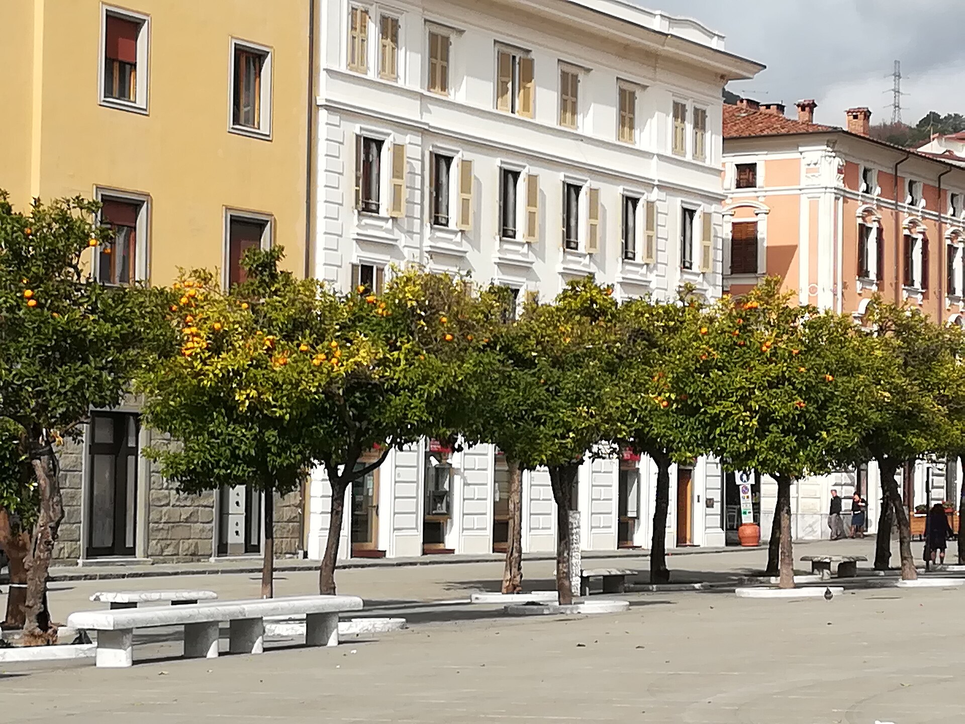 Piazza degli Aranci a Massa, con gli alberi di arance e i palazzi colorati
